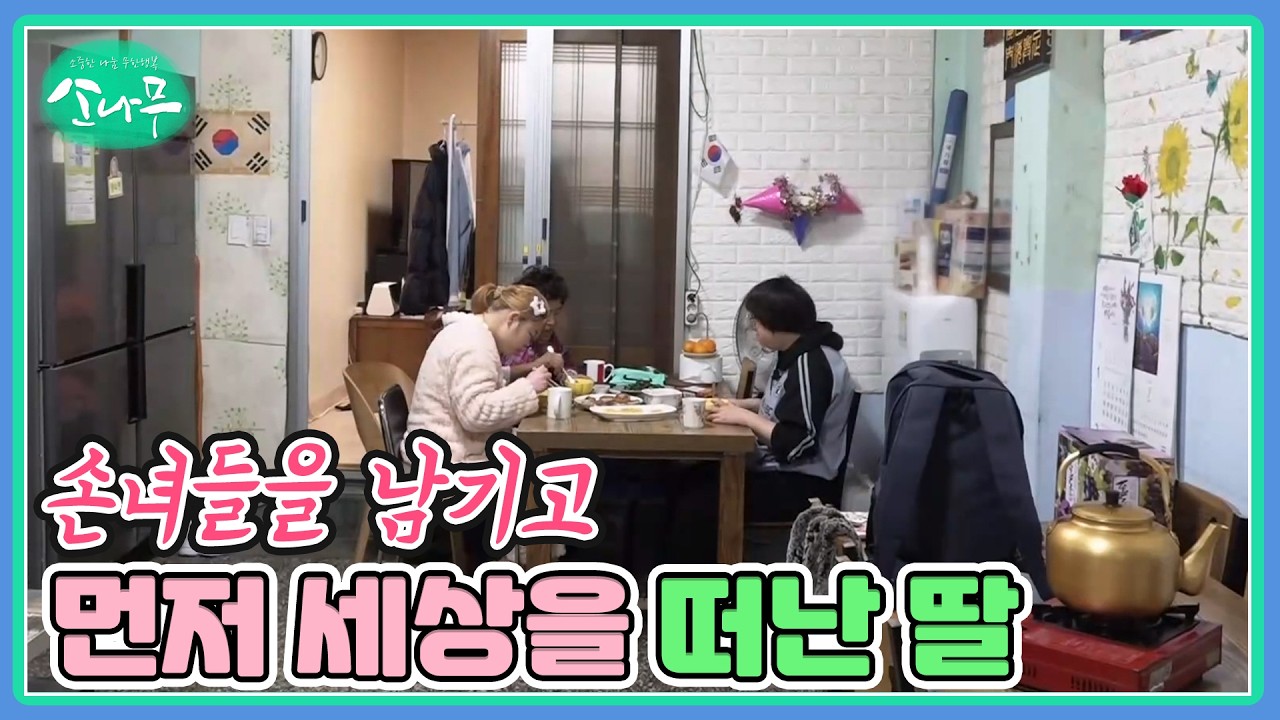 손녀들을 남기고 먼저 세상을 떠난 딸 MBN 260228 방송