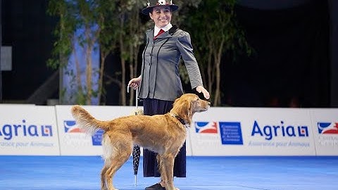 Dog Dance World Championship, Francia 2022. Barbara Schettino e Redhoney Only for Breakfast (Alice)