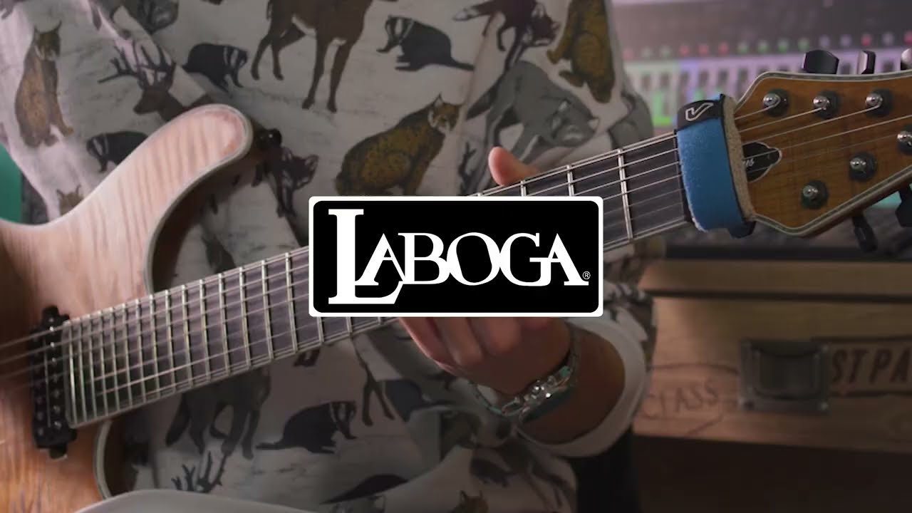 Laboga Mr Hector | Aurora DSP