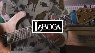 Laboga Mr Hector Aurora Dsp