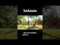 Naukasana