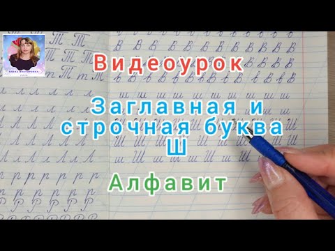 Видеоурок "Учимся писать строчную и заглавную букву Ш". Оставайтесь дома и учитесь вместе со мной. Видеоурок "Учимся писать строчную и заглавную букву Ш". Оставайтесь дома и учитесь вместе со мной.