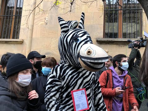 Zebra Protest in Tbilisi - ahead of Georgia's Parliament session/ზებრას პროტესტი პარლამენტთან