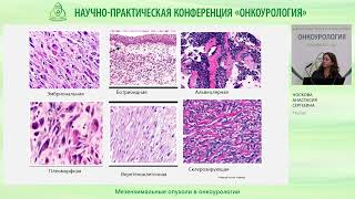 Мезенхимальные опухоли в онкоурологии