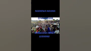 NGEKEWA NDAMA JIGUSHILAGA SHOWS HATARI 2025 
