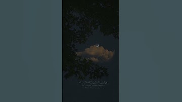 سورة العنكبوت القارئ عبدالرحمن مسعد 🤎 #quran #عبدالرحمن_مسعد #قرآن #quran #سورة_العنكبوت