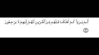 Download Lagu Surah Yaseen recitation 31 to 40 with verses MP3 Download Lagu Surah Yaseen recitation 31 to 40 with verses MP3