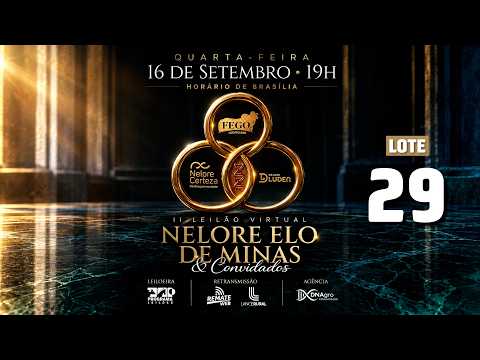 LOTE 29   GCGC 228