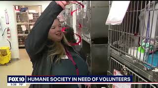 Help More Homeless Pets With New Volunteer Opportunities at AHS!