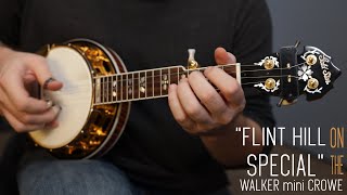 Flint Hill Special  Walker Mini 5string Banjo