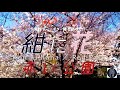 紺に花/赤い公園《full size》 男性キーcover【2022-7】