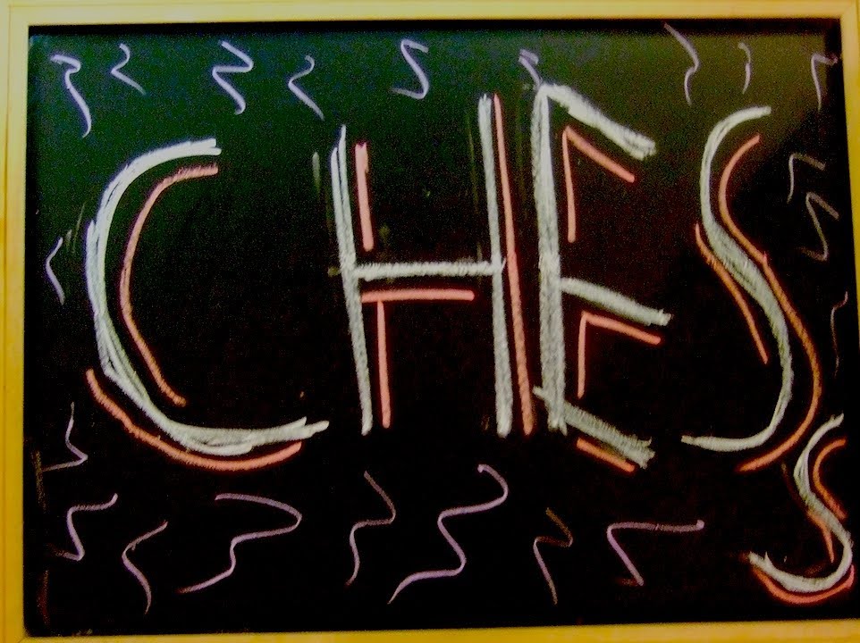 CHESS! - A vlog about a chess game between Dan Brown and his viewers.