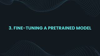 3. FINE-TUNING A PRETRAINED MODEL