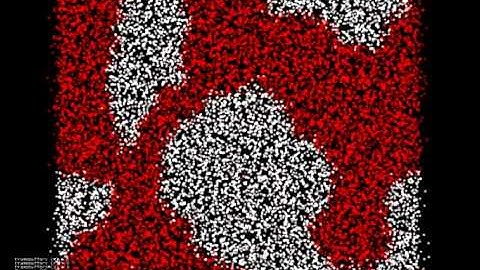 Pretty Ising Model Visualization - Monte Carlo Simulation