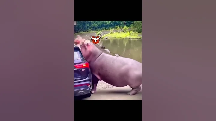 IMPOSSIBLE 🍷🗿 #shorts  #freefirehighlights #viralshorts #shortfeed #trollface #shorts