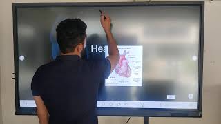 Newline AI writing software in interactive panels | best interactive panel