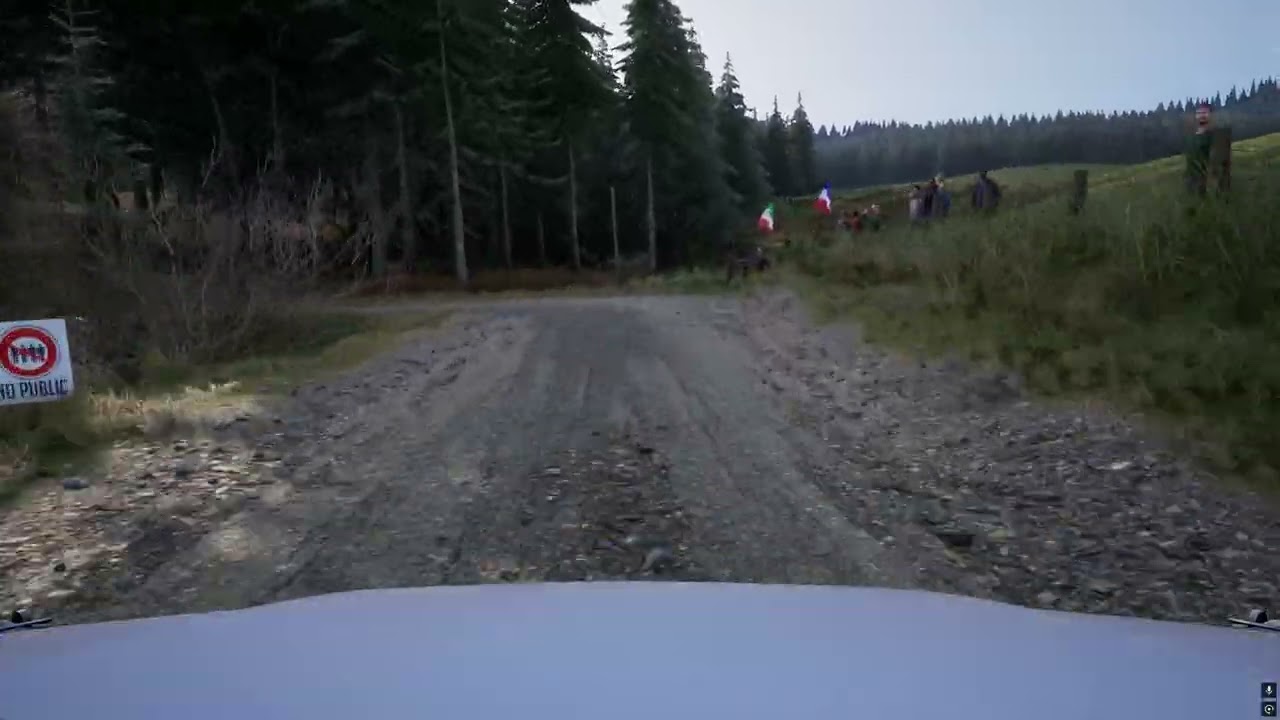 Assetto Corsa Rally - Severn - Afon Bidno Reveresed 2:57:653