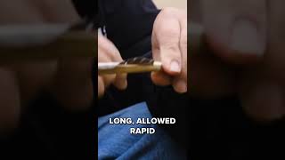 Native American Archery Unveiling Natures Powerful Engineering