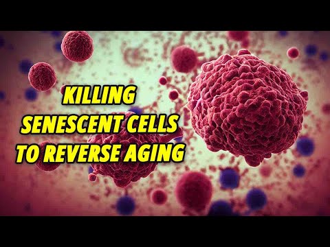 📣 Killing Senescent Cells to Reverse Aging❌
