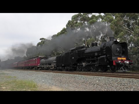 Steam to the