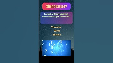 Quantum Quandary: Riddle Beyond Reality! 🌌 #shorts