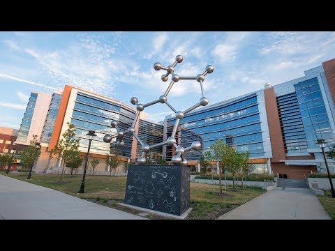 Department Of Chemistry And Chemical Biology