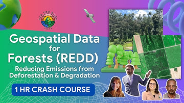 Revolutionizing REDD: How Geospatial Data is Transforming Forest Protection | GEO FOR GOOD