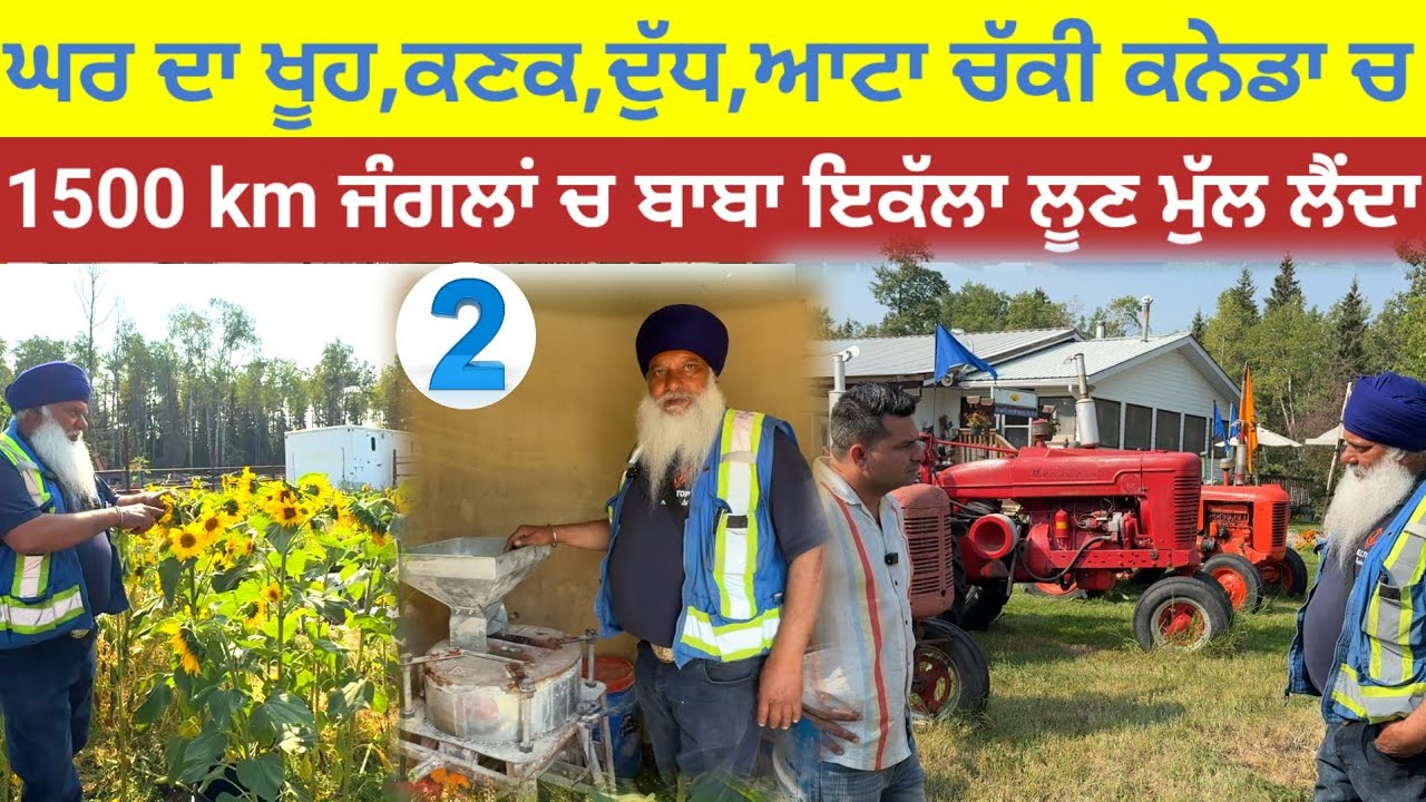 1500 km ਜੰਗਲਾਂ ਚ ਬਾਬਾ ਕੱਲਾ ਲੂਣ ਮੁੱਲ ਲੈਂਦਾ;ਘਰ ਦਾ ਖੂਹ,ਕਣਕ,ਦੁੱਧ,ਆਟਾ ਕਨੇਡਾ ਚ|Peace river Punjabi farmer|
