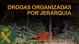 Detenidas 20 personas de un clan familiar por tráfico de drogas en Carlet