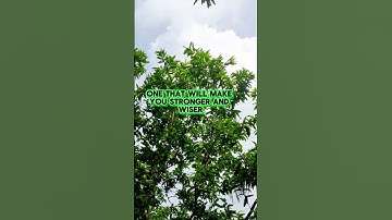 "Fail → Learn → Win: The Secret to Success #quotes #motivationalquotes #facts #improvementquotes