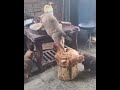 Daily dose of internet.. a dog standing on a chicken to reach the food on the table