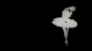 Public Image Limited - Swan Lake (unofficial video)