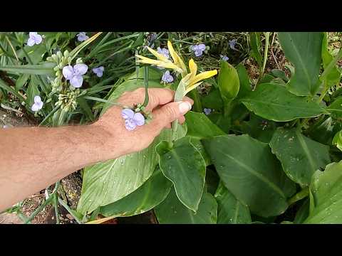 What IS a garden?