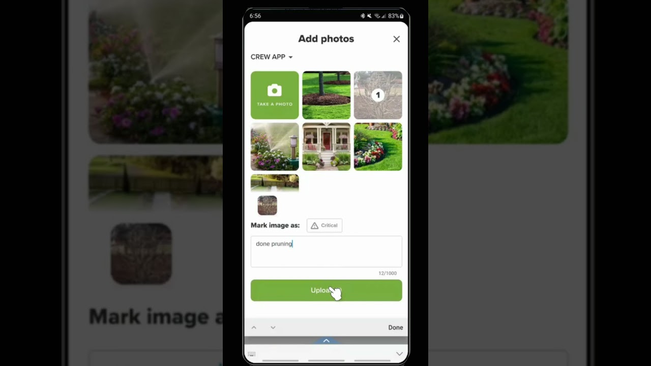 Day In a Life - LMN Crew App 2024