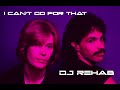 I Can T Go For That DJ Rehab Club Remix mp3