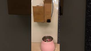 Automatic Arduino Pet Feeder with Servo Motor