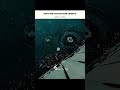 Happy new year ð||@XtheticMoony||#trending#aesthetic#viralvideos#shortfeed#newyear#short