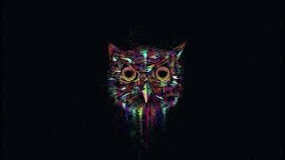 Nocna Ptica (Music Video)