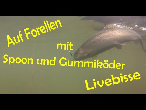 Auf Forellen mit Spoon und Gummiköder Livebisse  @angelfuchstv74