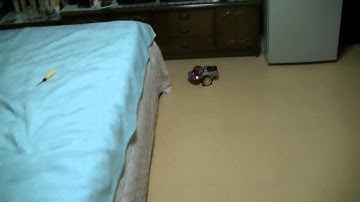 아두이노 자율 주행차(적외선 충돌감지센서) Arduino Self-Driving Car with IR obstacle sensor