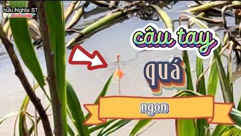 câu cá tra sông II điểm câu tay cá rô quá ngon
