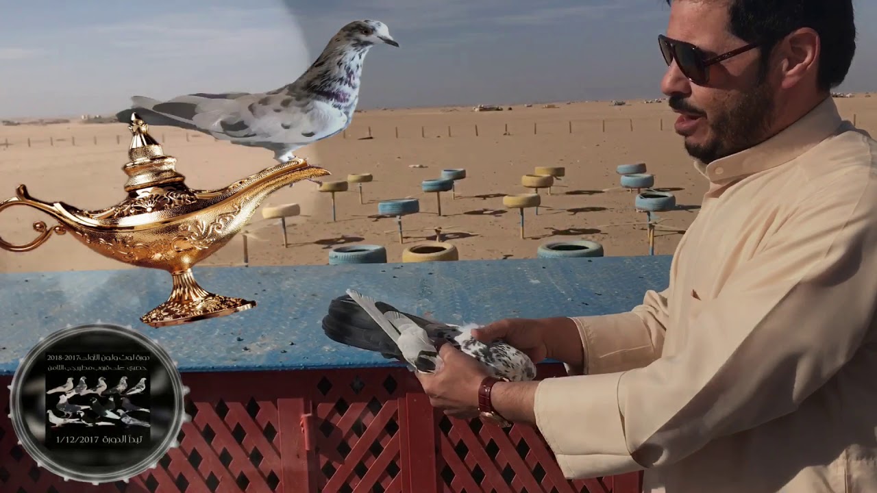 حمام لوت (مقابلة السيد/ حامد العنزي لدورة لوت ولون الأولى لموسم 2018)