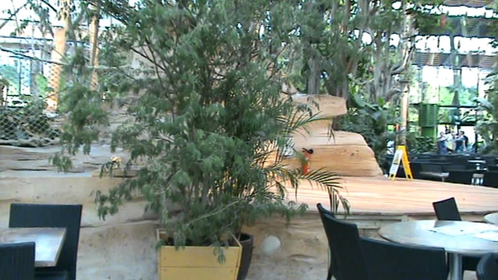 Center Parcs Les Trois Forets Rondleiding door Market Dome