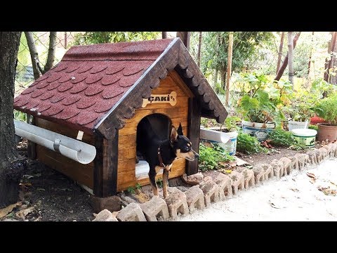 Paletlerden Kopek Kulubesi Yaptim Dog House Youtube