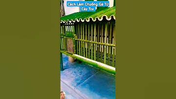 Cách Làm Chuồng Gà Từ Cây Tre #diy #bamboo #woodworking #wood #satisfying #chicken #shortvideo