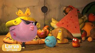 wow animation compilation larva tuba official