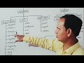 What are the parts of computer | components of hardware and software | Basic computer knowledge