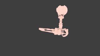 arm rig test 60fps