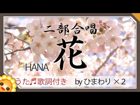 a-famous-japanese-song【hana（cherry-blossoms）】by-himawari