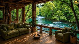 A Peaceful Summer Morning by the Riverside Cabin | Calm Waters, Birdsong & Warm Fire